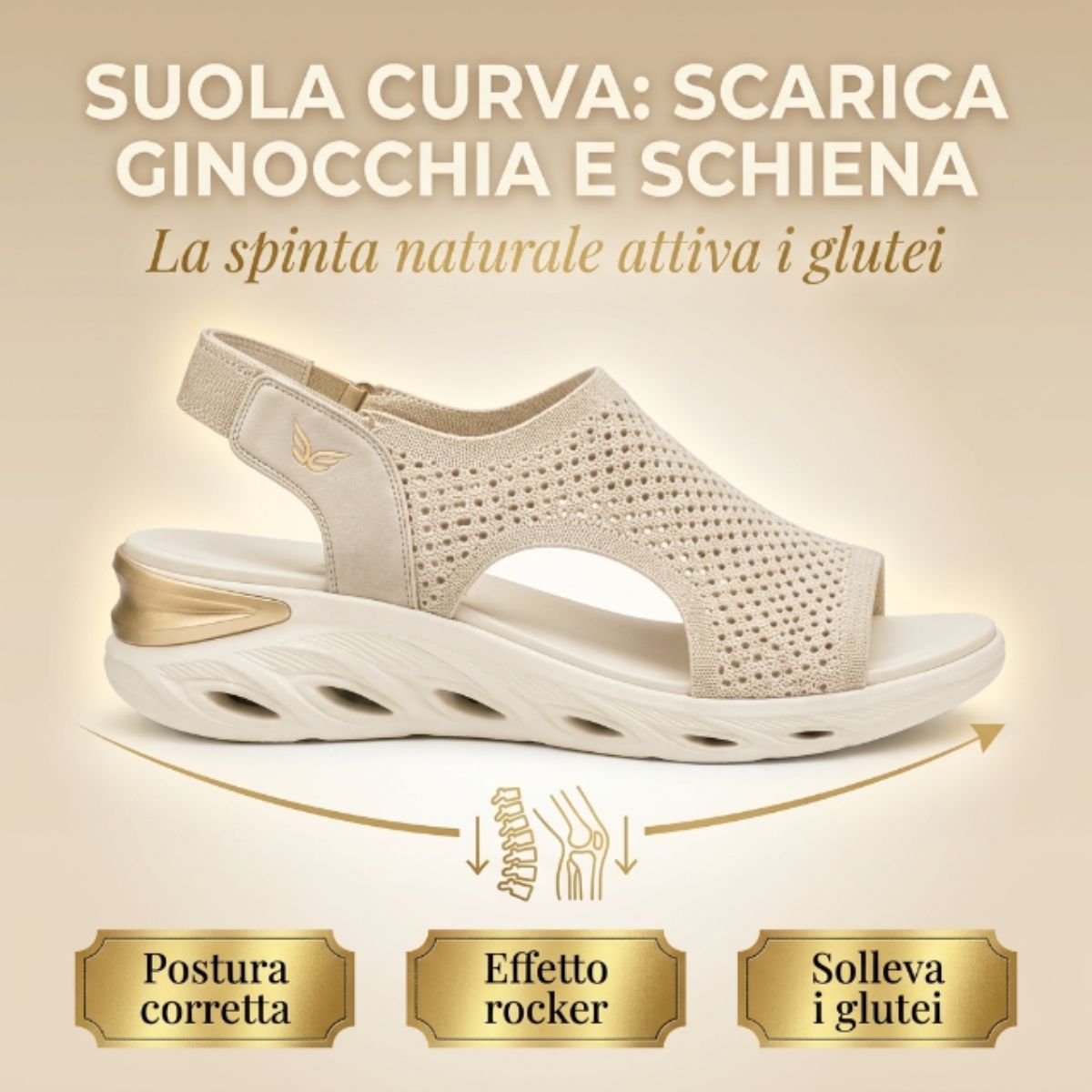 AUREVIA 10